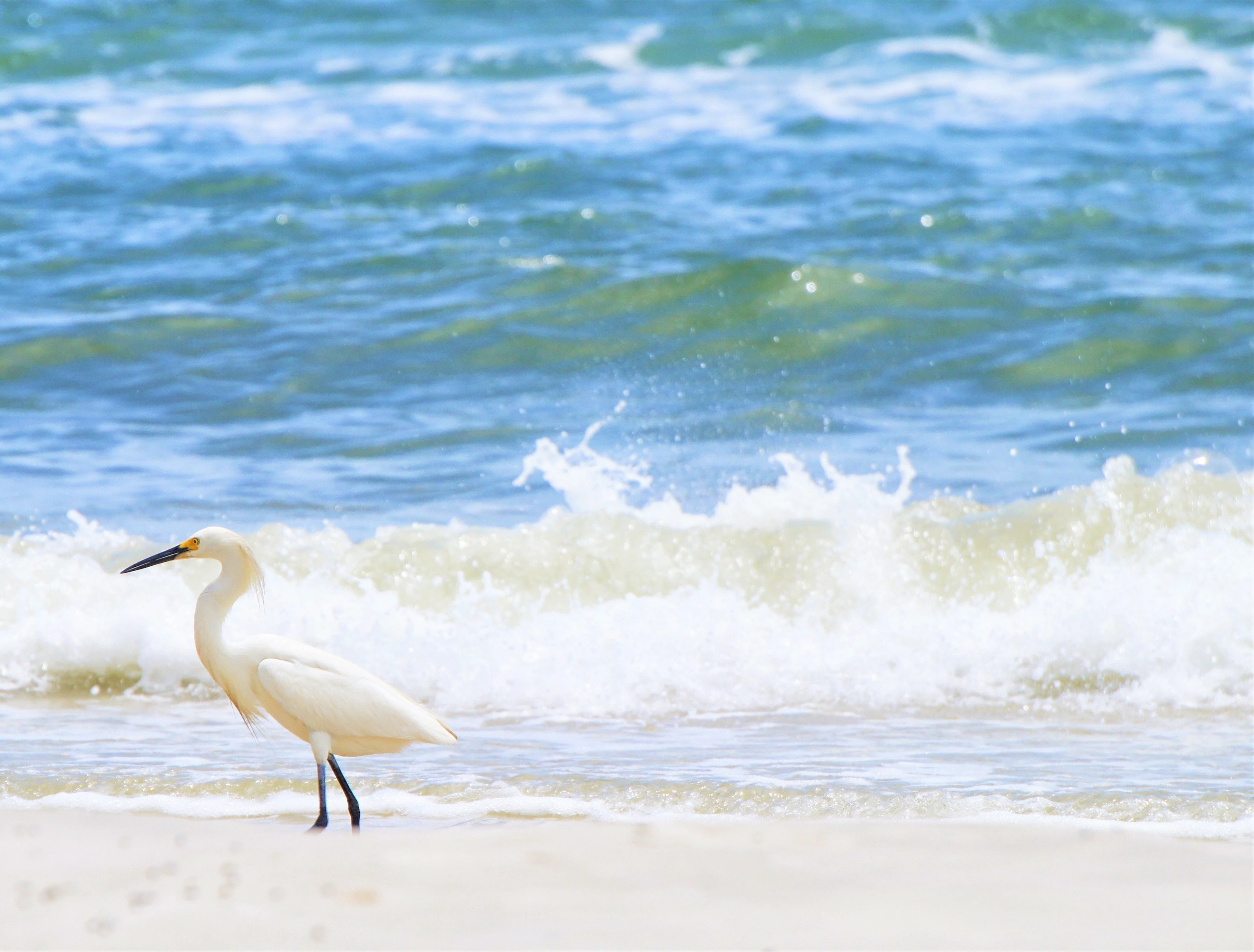 Port Realty Group Your Luxury Real Estate Company in Cape San Blas